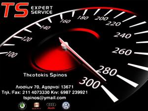 TS Expert Service