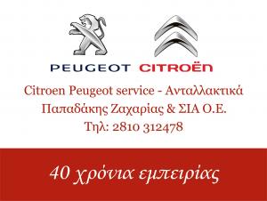 Citroen Peugeot Service Παπαδάκης