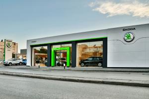 Skoda Synergy