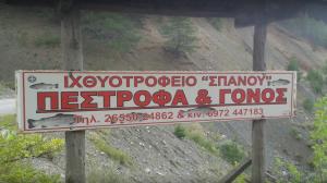 Σπανός Στέργιος