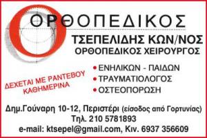 ΤΣΕΠΕΛΙΔΗΣ ΚΩΝΣΤΑΝΤΙΝΟΣ