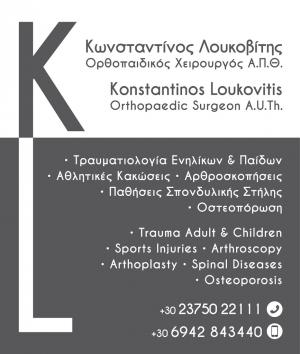 Λουκοβίτης Κωνσταντίνος