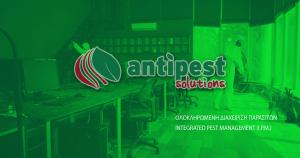 Antipest Solutions