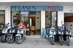 Pegasus