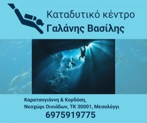 Γαλάνης Βασίλης
