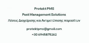 Protekt PMS