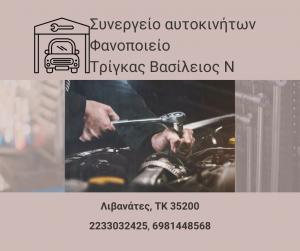 Τρίγκας Βασίλειος Ν