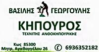 ΓΕΩΡΓΟΥΛΗΣ ΒΑΣΙΛΕΙΟΣ