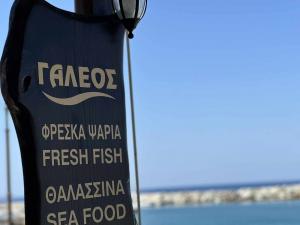 Ο Γαλέος