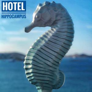 Hippocampus