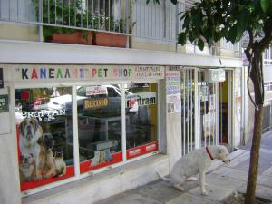 Κανέλλης