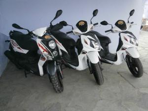 Moto Rent George