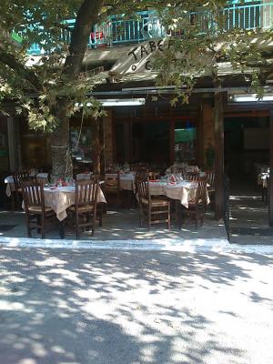 Ο Έλατος