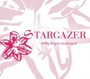 Stargazer
