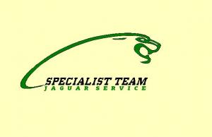 Specialist Team