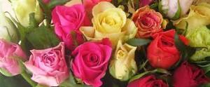 Alexandras flowers