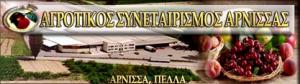 Αγροτικός Συνεταιρισμός Άρνισσας