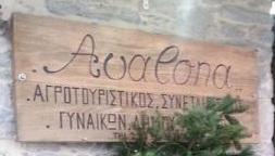 Avalona