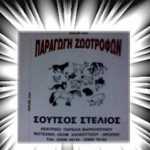 Σούτσος Στέλιος