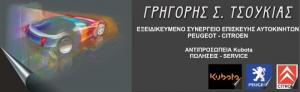 Τσουκιάς Γρηγόριος Σ.