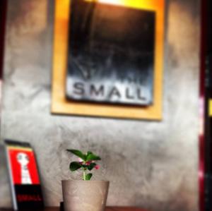 The Small
