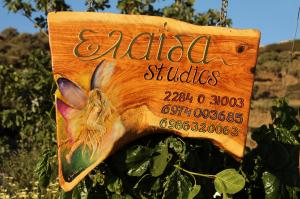 Elaida Studios