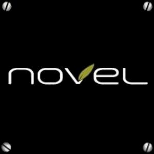 Novel