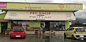 Pet Market