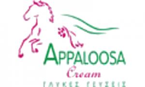 Appaloosa Cream