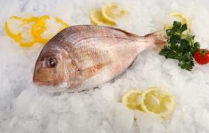 Fishalida