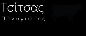 Τσίτσας Παναγιώτης