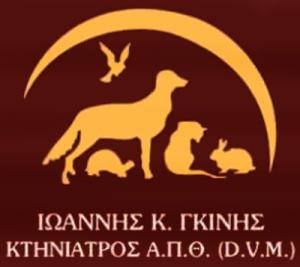 Γκίνης Ιωάννης