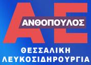 Θεσσαλική Λευκοσιδηρουργία