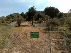 Παπαναστασίου Ι Αναστάσιος