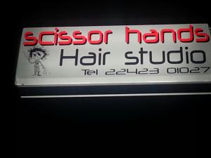 Scissor Hands