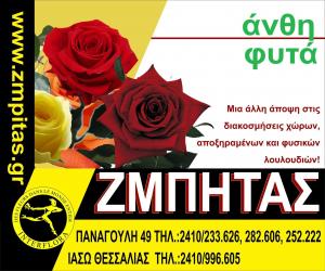 Ζμπήτας Γεώργιος
