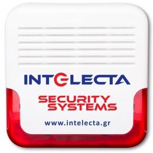 Intelecta