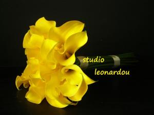 Studio Ανθοδετικής