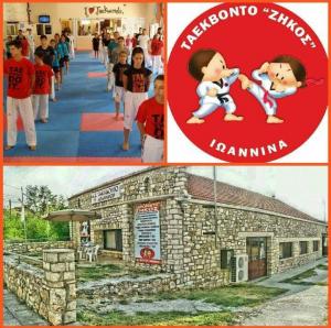 TAE KWON DO Ζήκος