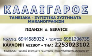 Ταμειακά Συτήματα Καλλίγαρος Μιχαήλ