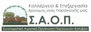 ΣΑΟΠ Καλυβών