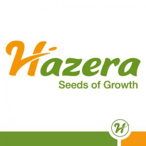 Hazera Ellas