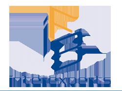 IFB Interexperts