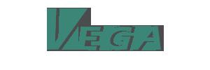 Vega Star Group