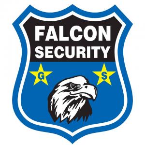 Falcon Security Gs