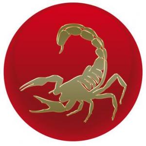 Scorpio Studios & Apartments