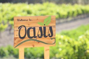 Oasis