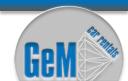 Gem Car Rentals