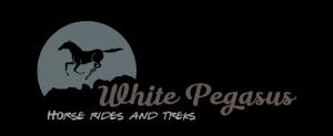 White Pegasus