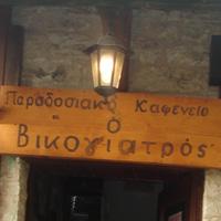 Ο Βικογιατρός